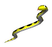 carpet snake